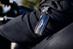 Honda Goldwing (Bagger)