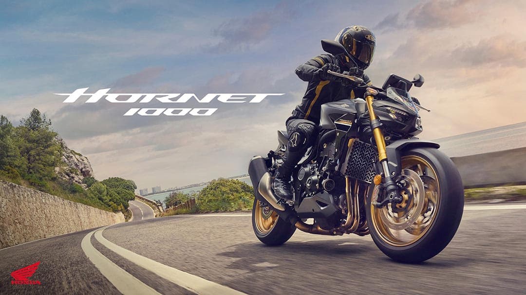 Honda Hornet 1000 (CB1000R)