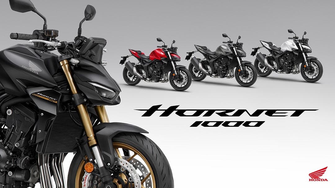 Honda Hornet 1000 (CB1000R)