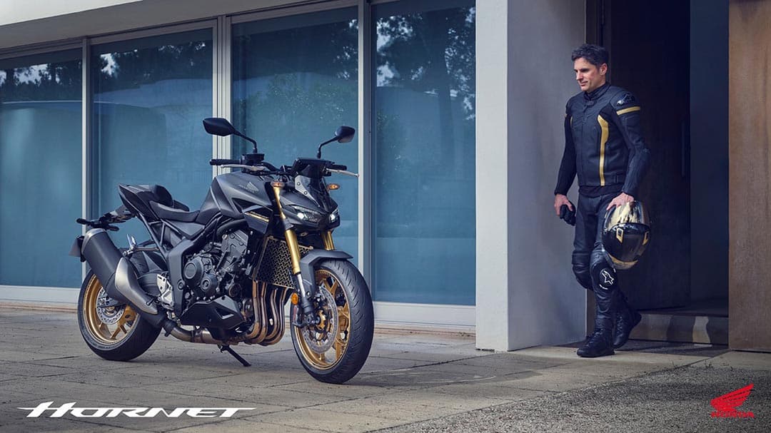 Honda Hornet 1000 (CB1000R)