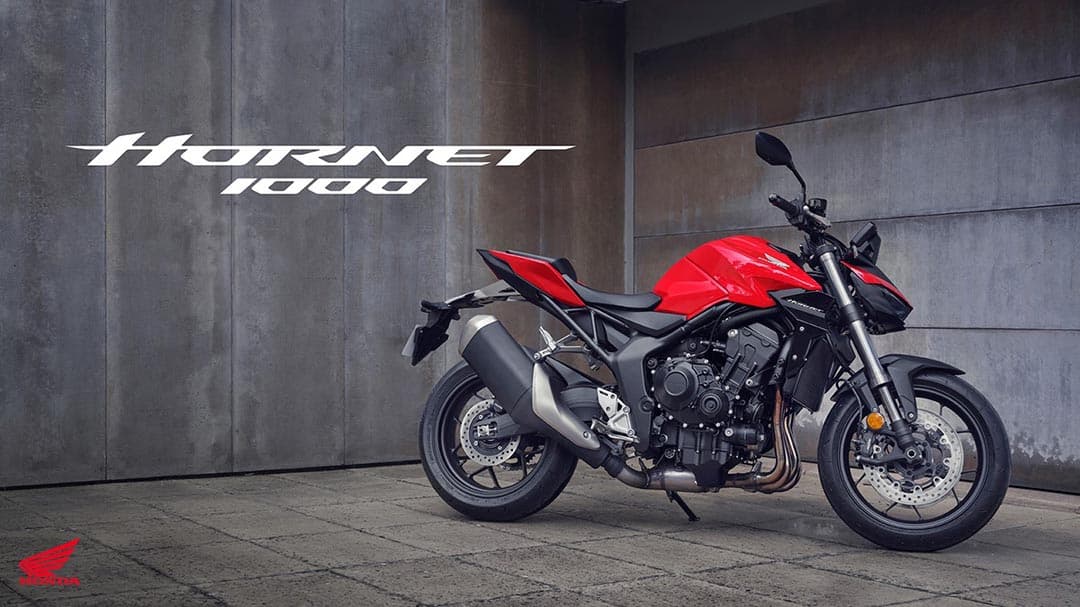 Honda Hornet 1000 (CB1000R)