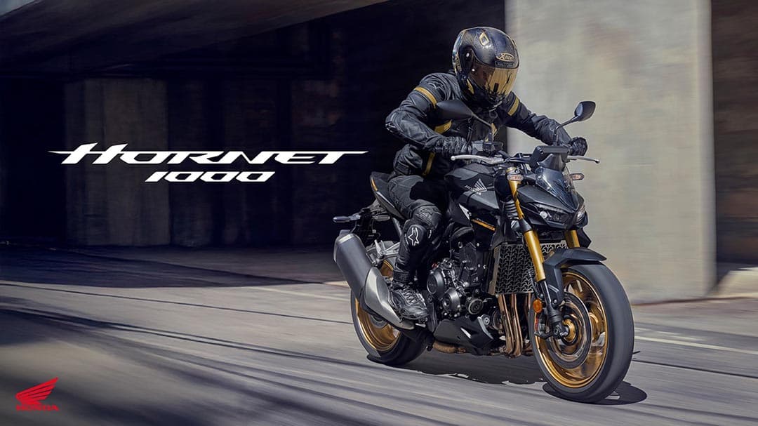 Honda Hornet 1000 (CB1000R)