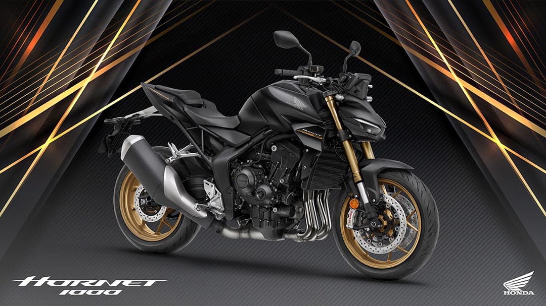 Honda Hornet 1000 (CB1000R)