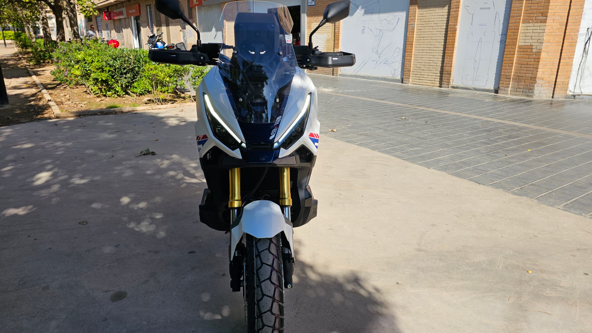 Honda X-adv 2026