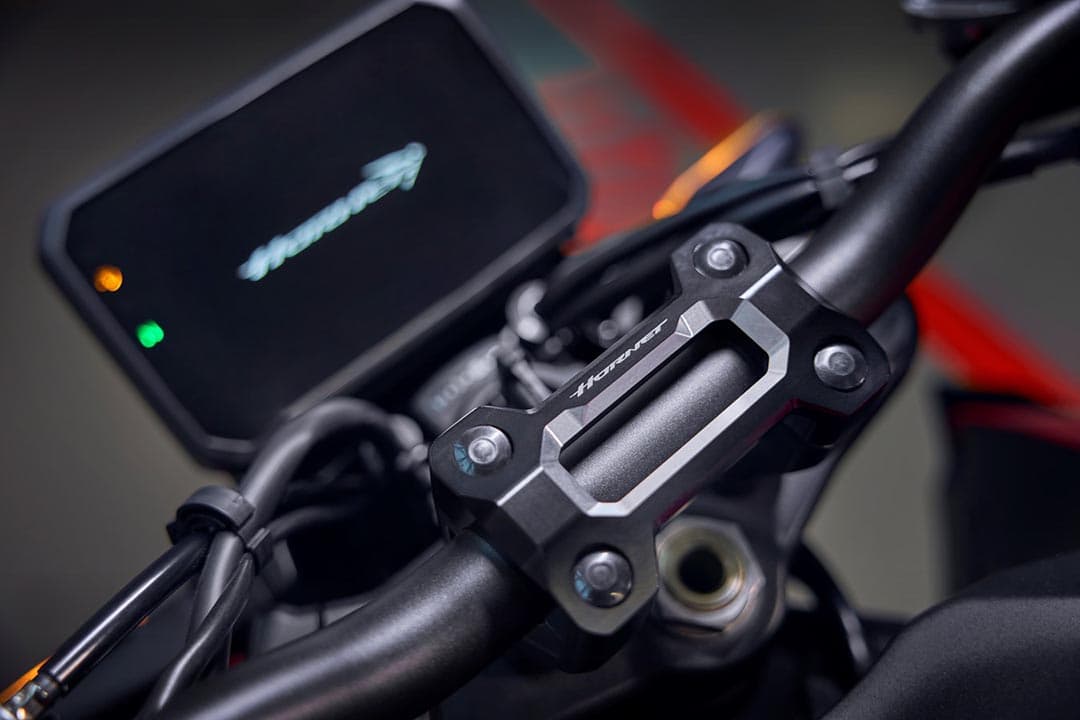 Honda Hornet 1000 (CB1000R)