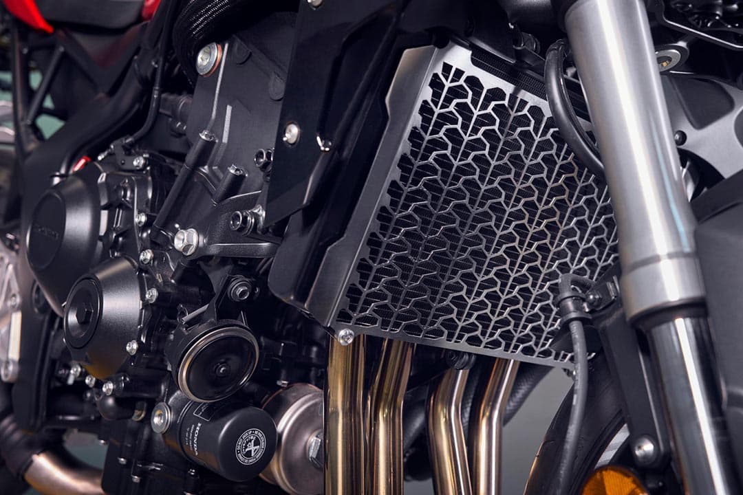 Honda Hornet 1000 (CB1000R)