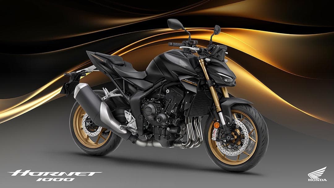 Honda Hornet 1000 (CB1000R)