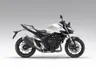 Honda Hornet 1000 (CB1000R)