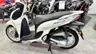 SH 125 Mode ocasión