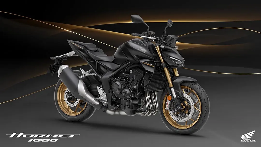 Honda Hornet 1000 (CB1000R)