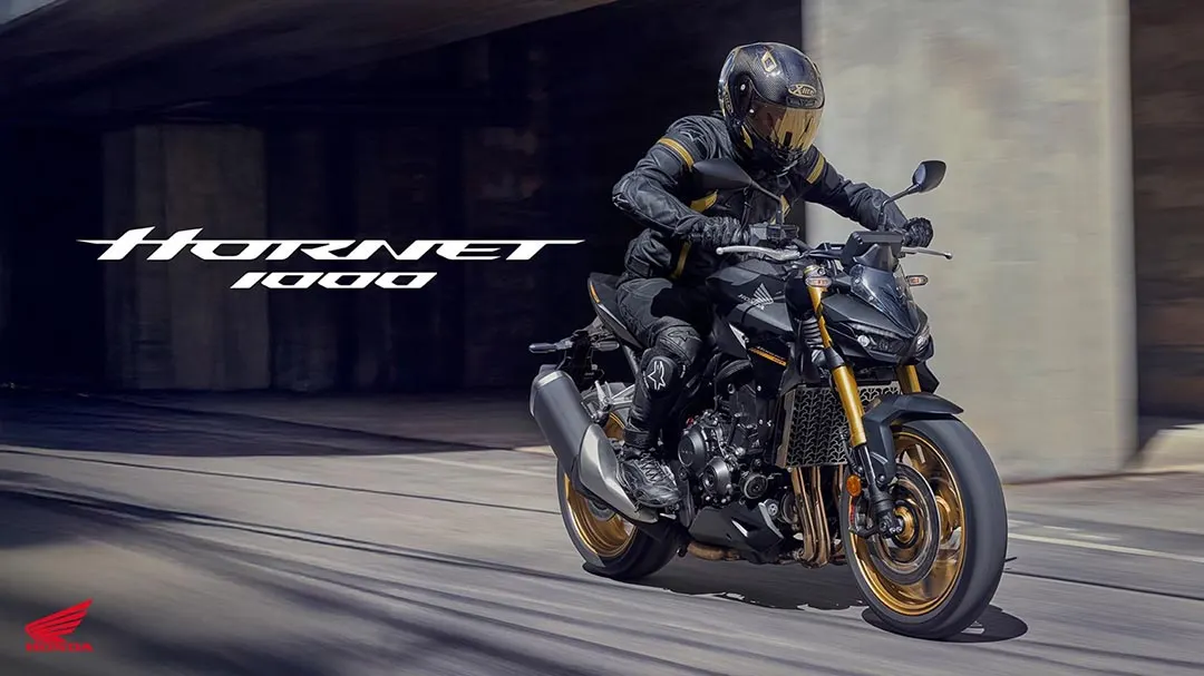 Honda Hornet 1000 (CB1000R)