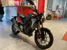 CB300R Ocasión