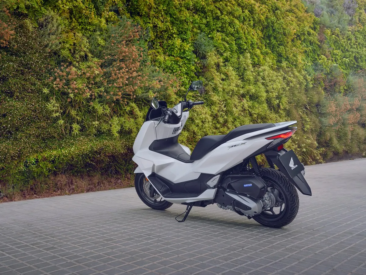 Scooter Honda PCX 125 blanca estacionada junto a muro verde