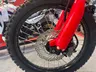 Rueda delantera, horquilla y freno de disco de una Honda CRF300L roja