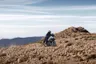 Honda NX500 (CB500X)