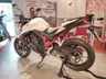 Hornet 750 Ocasion