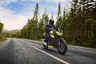 Honda CB750 Hornet amarilla con piloto en carretera forestal