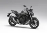Honda Hornet 1000 (CB1000R)
