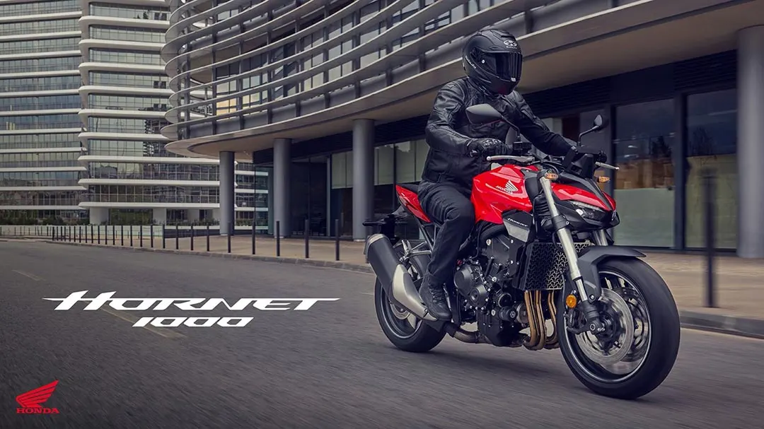 Honda Hornet 1000 (CB1000R)