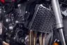 Honda Hornet 1000 (CB1000R)