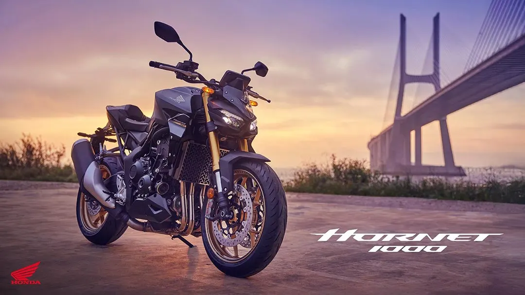 Honda Hornet 1000 (CB1000R)