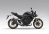 Honda Hornet 1000 (CB1000R)
