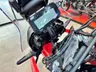 Honda CRF300 Rally