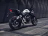 Honda Hornet 500 (CB500F)