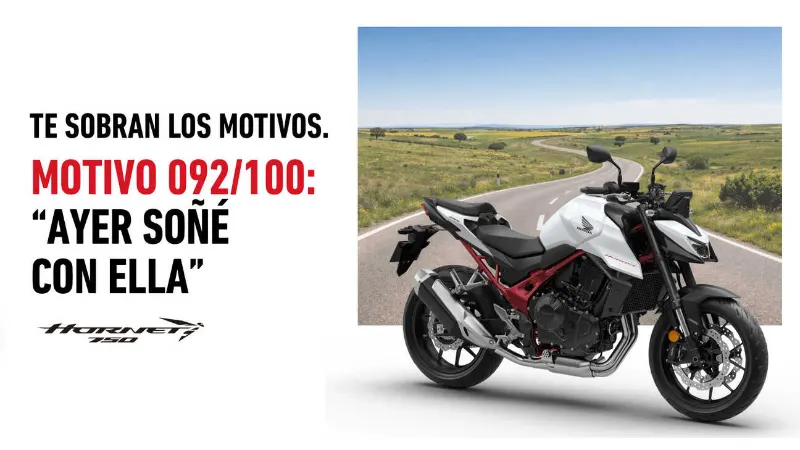 Oferta Honda Hornet 750 por 7.180€