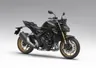 Honda Hornet 1000 (CB1000R)