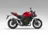 Honda Hornet 1000 (CB1000R)