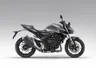 Honda Hornet 1000 (CB1000R)