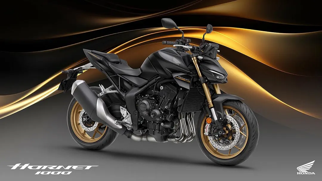 Honda Hornet 1000 (CB1000R)