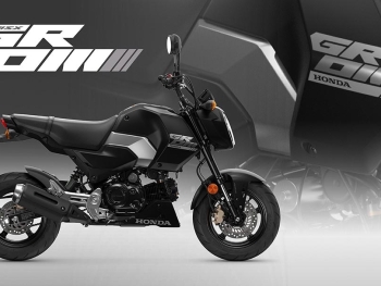 la Honda MSX125 2025 esta homologada para dos plazas con un asiento lo suficiente mente grande para poder circular con ella por la ciudad