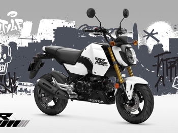 la nueva Honda MSX125 2025 es una motocicleta Honda de 125 de marchas de tamaño muy compacto para disfurtar la conduccion por la ciudad