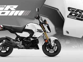 Honda MSX125 2025 en color blanco perlado con adhesivos Grom en tono negro