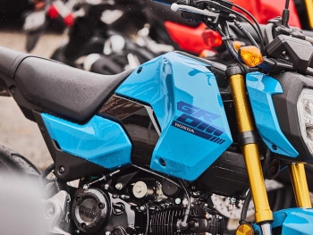Honda MSX125 2025