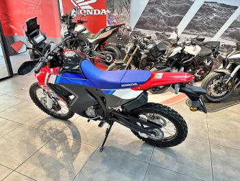 el nuevo color de la Honda CRF300 Rally 2025