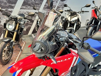 cubre faro Honda CRF300 Rally