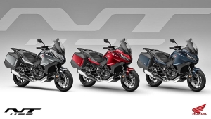 COLORES NT1100 2024